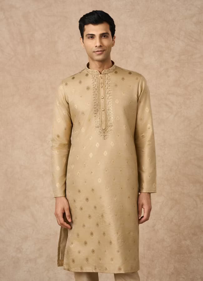 Raw Silk Embroidered Kurta